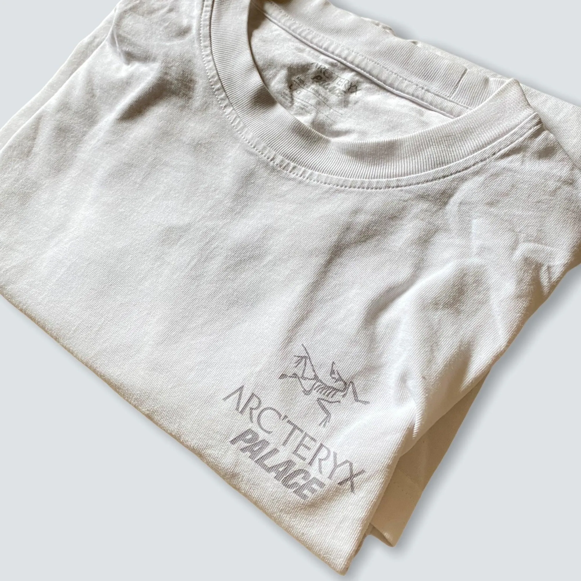 Palace Arc'Teryx T-Shirt White (L)